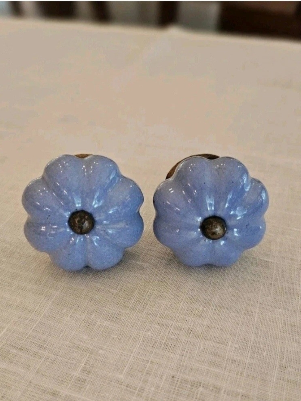 Vintage Blue Flower Ceramic Drawer Pulls (Set of 2)